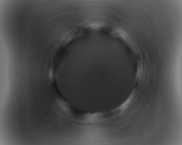 X0000088200186200705221730