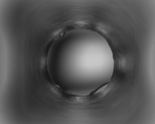X0000088200188200705221730