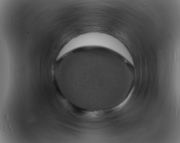 X0000088200190200705221730