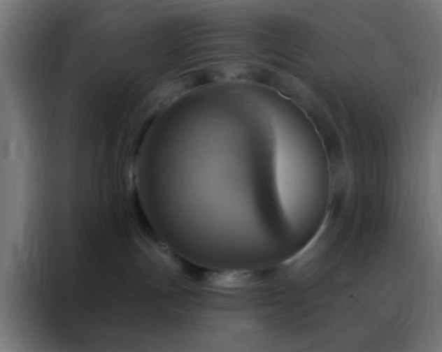 X0000088200191200705221730