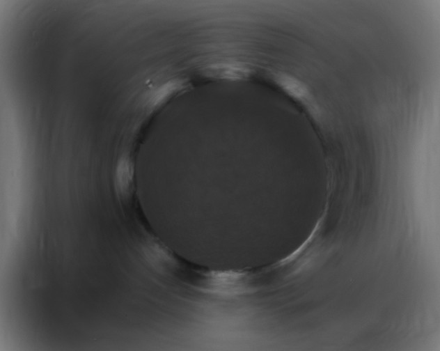 X0000088200192200705221730