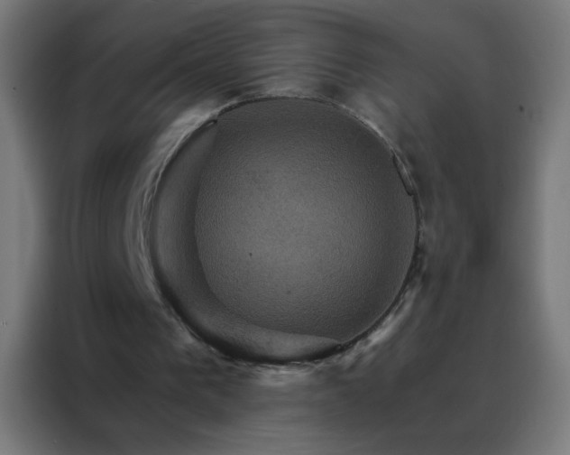 X0000088200193200705221730