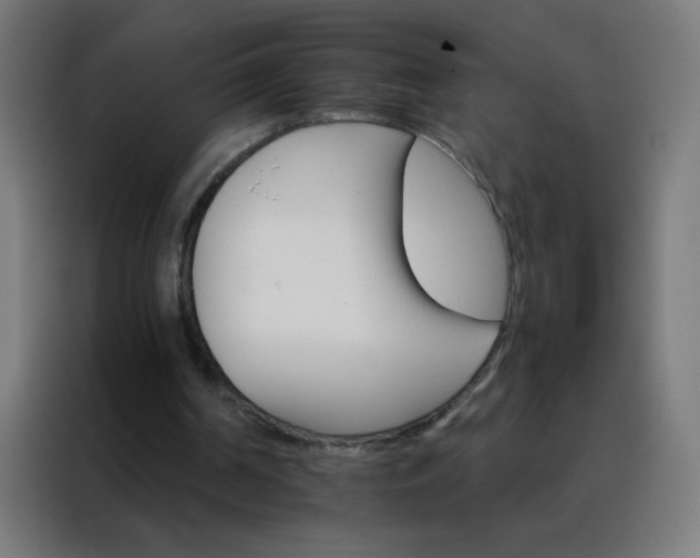 X0000088200194200705221729