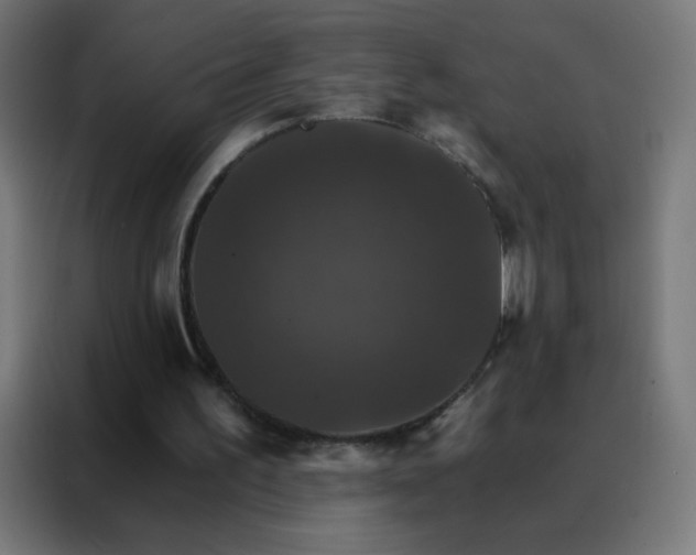 X0000088200195200705221729