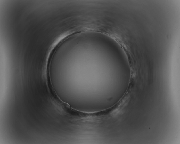 X0000088200196200705221729