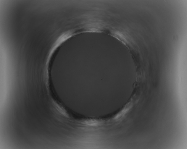 X0000088200198200705221729