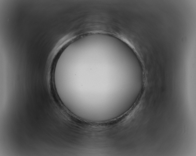 X0000088200199200705221729