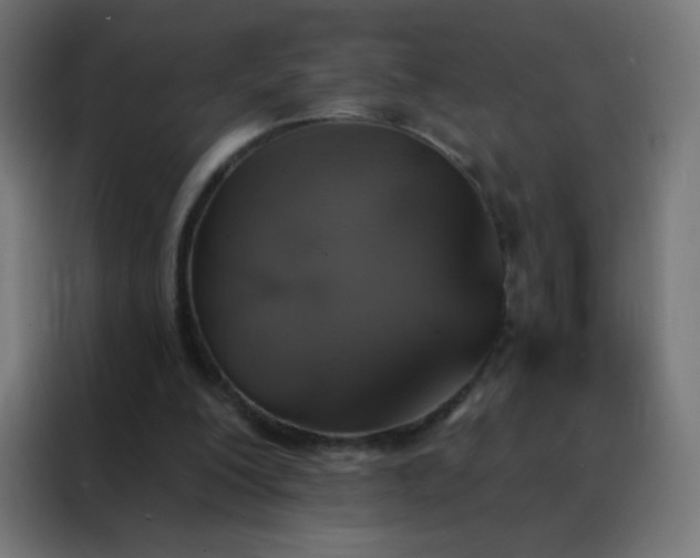 X0000088200200200705221729