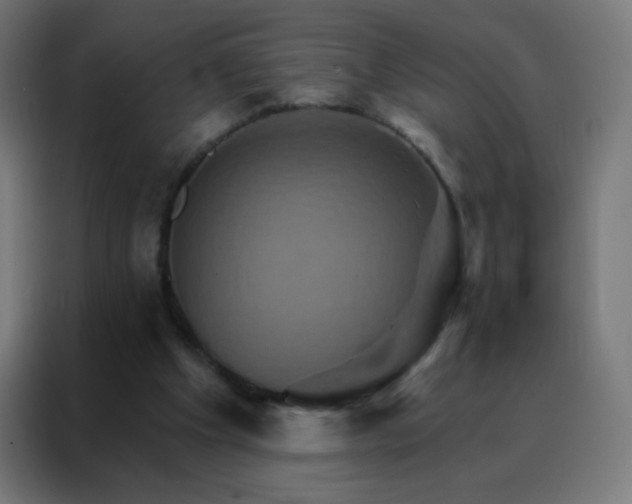 X0000088200201200705221729
