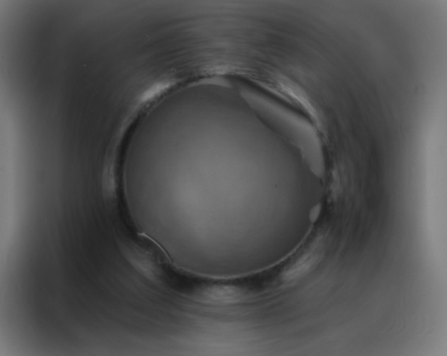 X0000088200203200705221729
