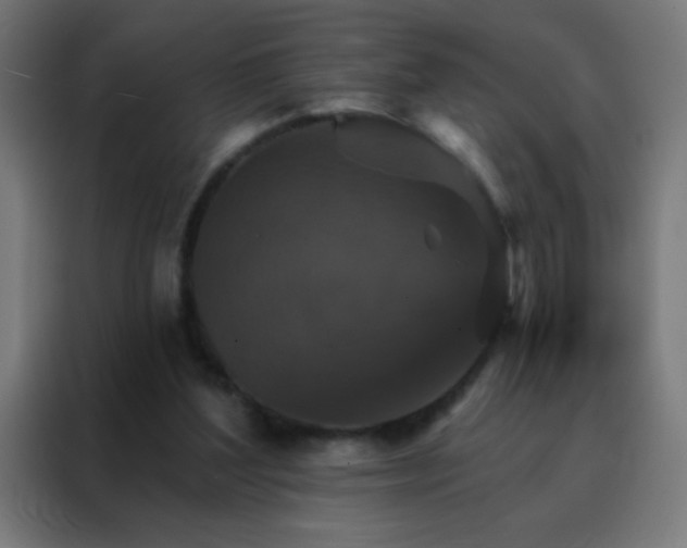X0000088200204200705221729