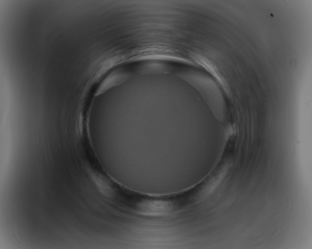 X0000088200205200705221729