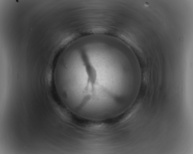 X0000088200206200705221729