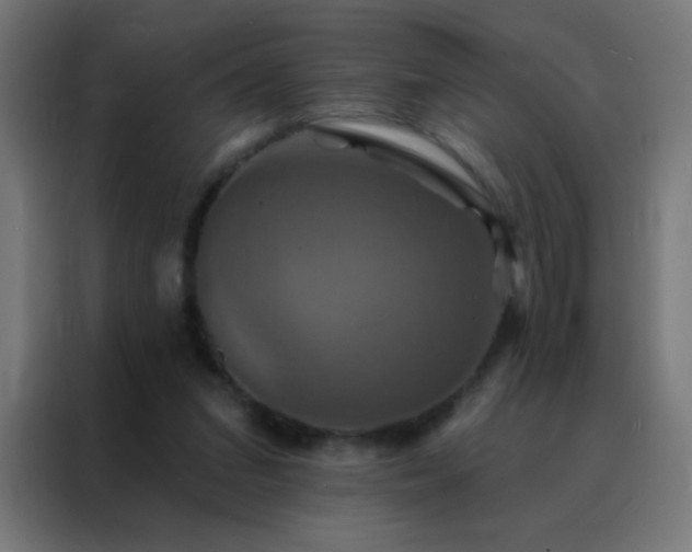 X0000088200207200705221729