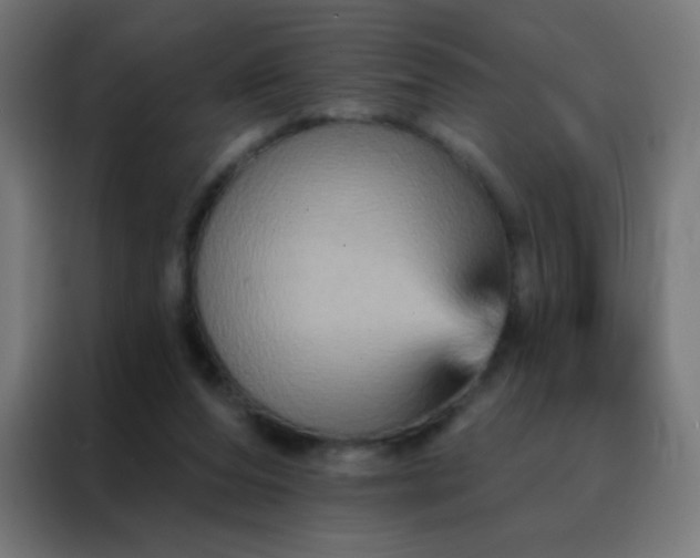 X0000088200208200705221729
