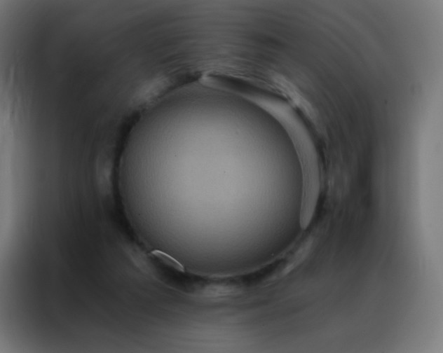 X0000088200209200705221729