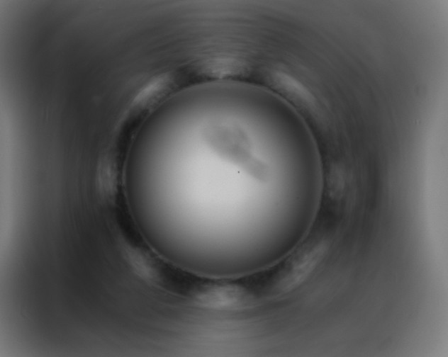 X0000088200210200705221729