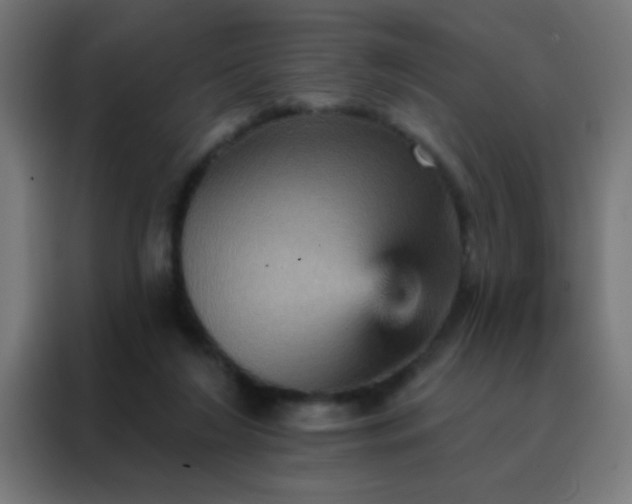 X0000088200212200705221729