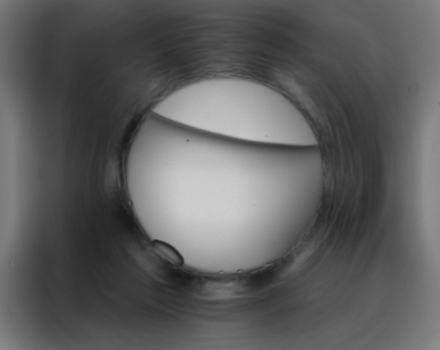 X0000088200213200705221729