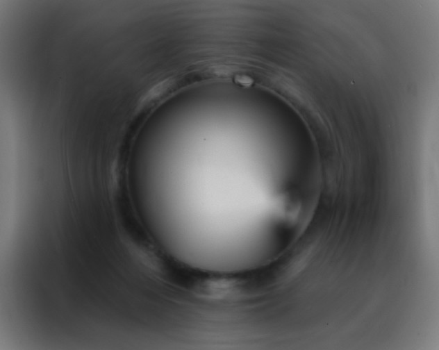 X0000088200216200705221729