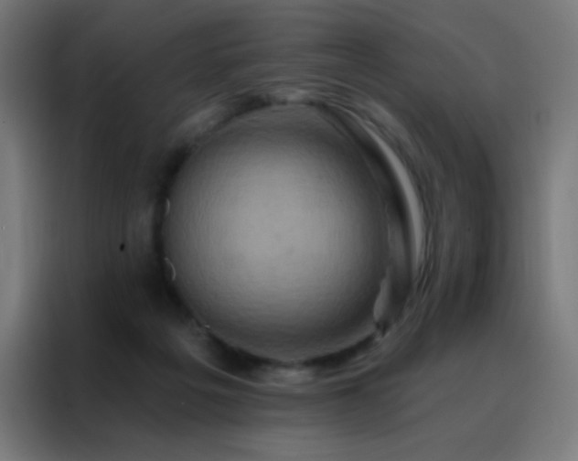 X0000088200217200705221729