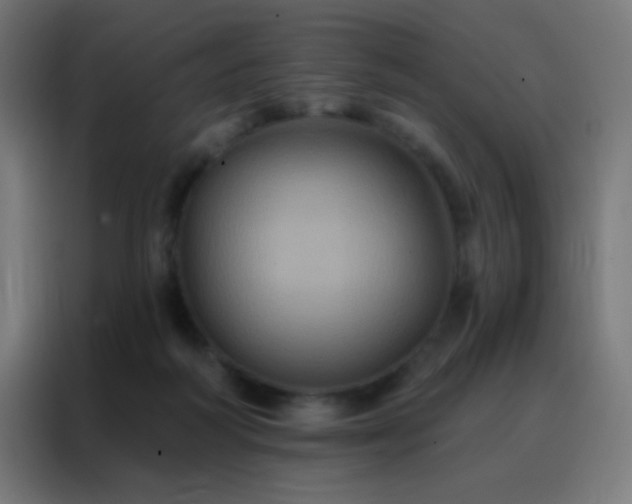 X0000088200218200705221729