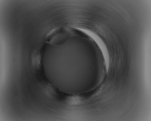 X0000088200219200705221729