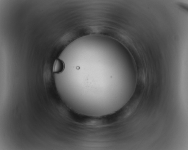 X0000088200220200705221729