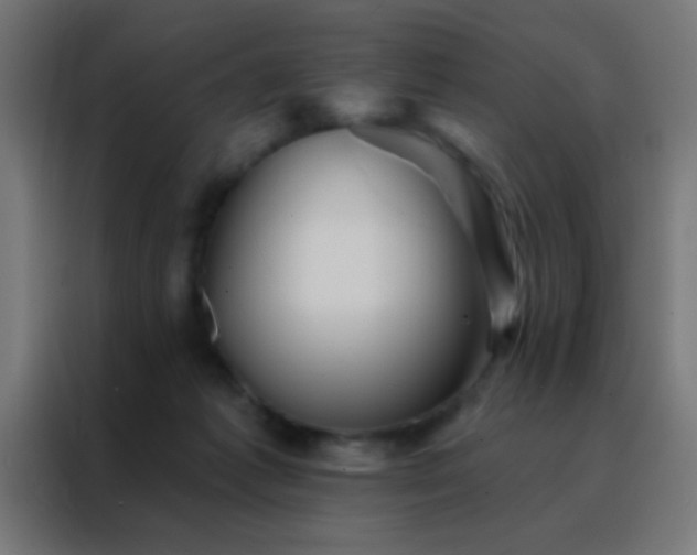 X0000088200221200705221729