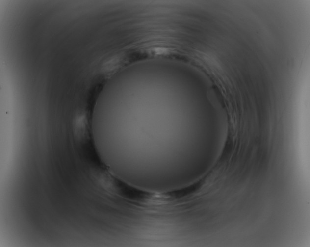 X0000088200222200705221729