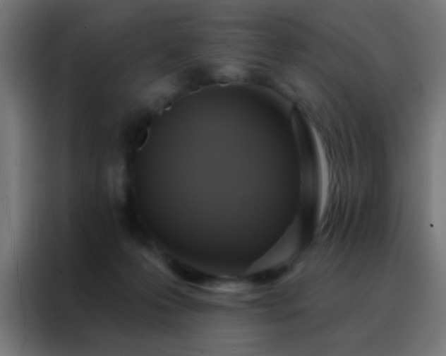X0000088200223200705221729