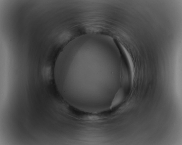 X0000088200224200705221729