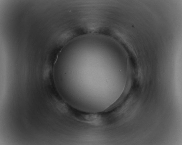 X0000088200225200705221729