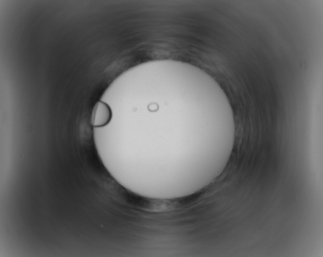X0000088200226200705221729