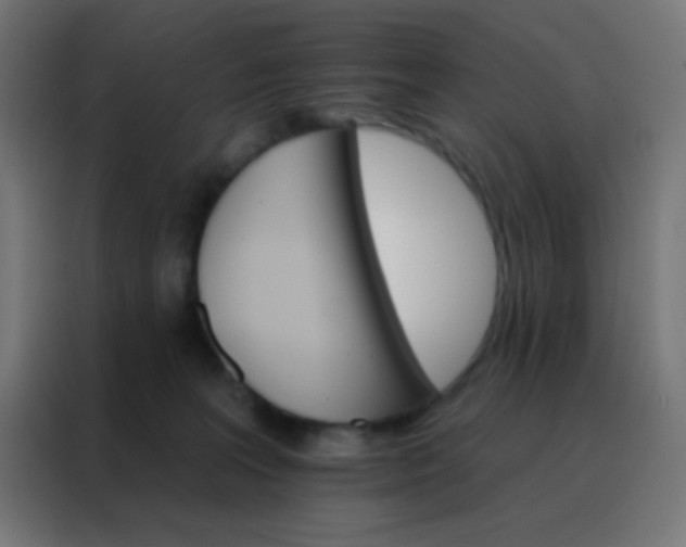 X0000088200227200705221729