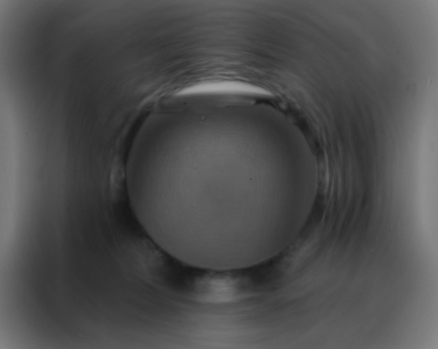 X0000088200228200705221729