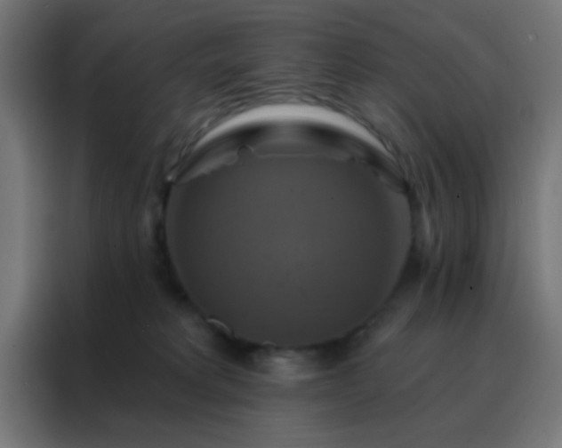 X0000088200229200705221729