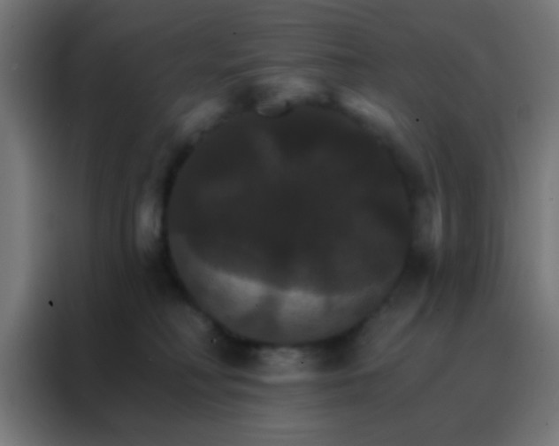 X0000088200230200705221729