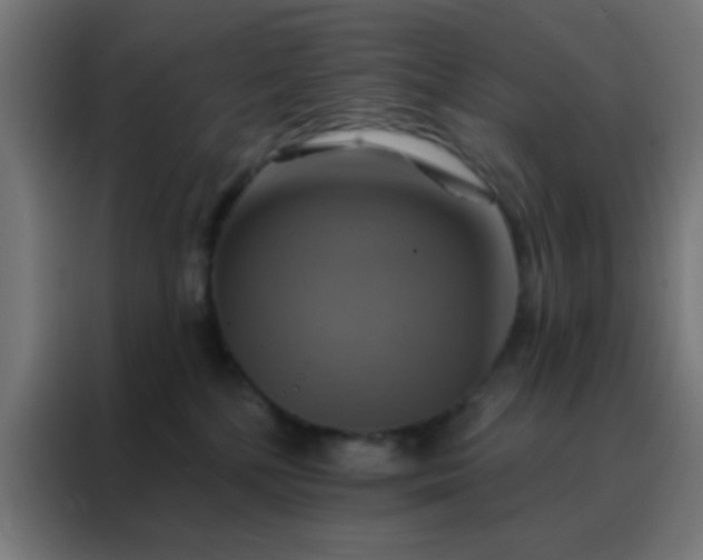 X0000088200232200705221729