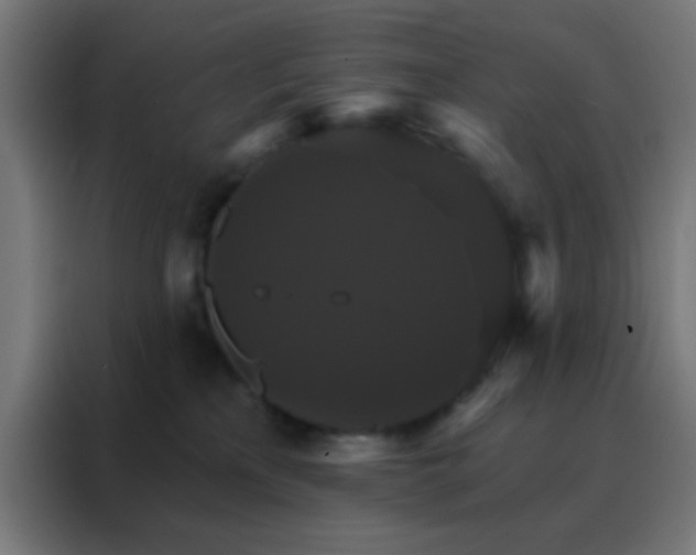X0000088200233200705221729