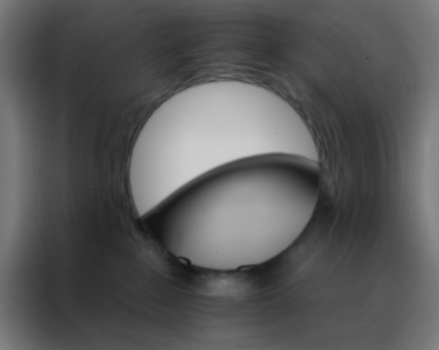X0000088200235200705221729