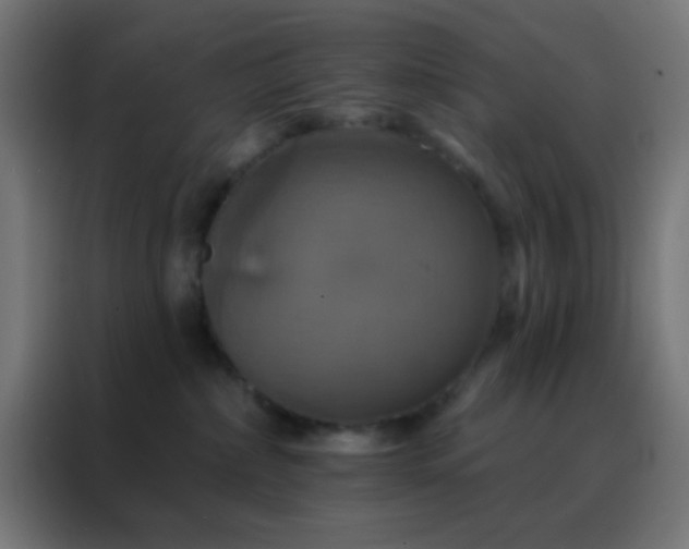 X0000088200236200705221729