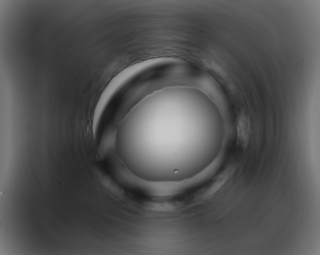X0000088200237200705221729