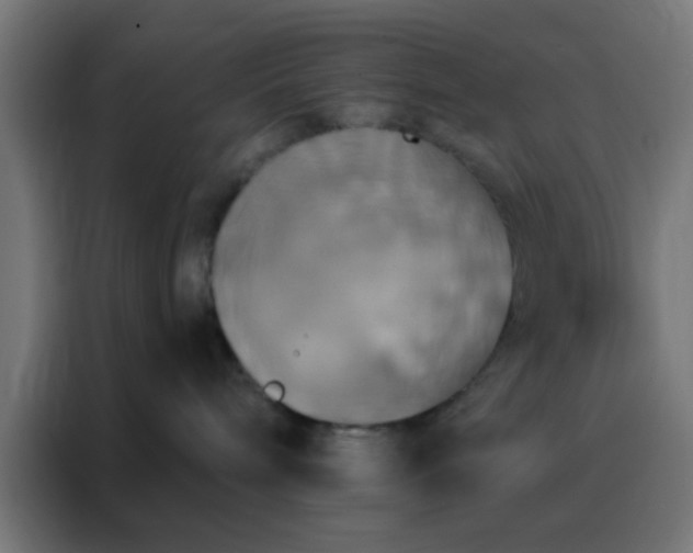X0000088200240200705221729