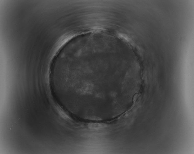 X0000088200242200705221728
