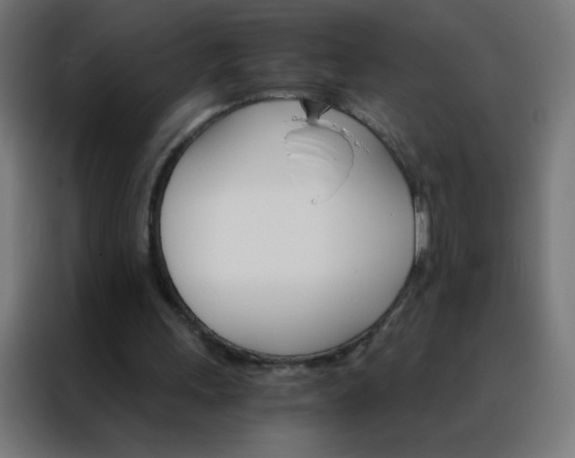 X0000088200243200705221728