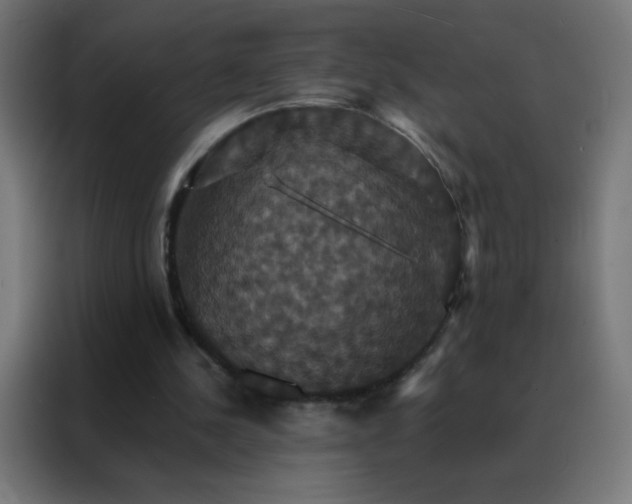 X0000088200244200705221728