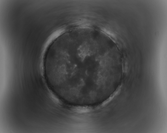 X0000088200245200705221728