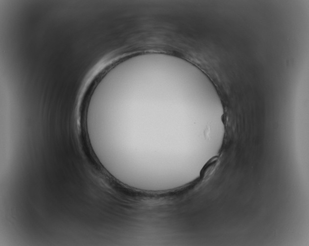 X0000088200246200705221728
