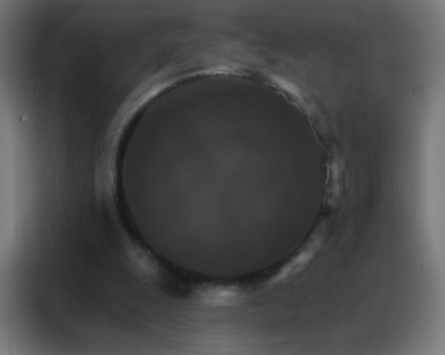 X0000088200247200705221728